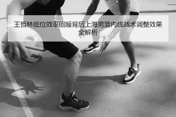 王哲林低位效率回暖背后上海男篮内线战术调整效果全解析